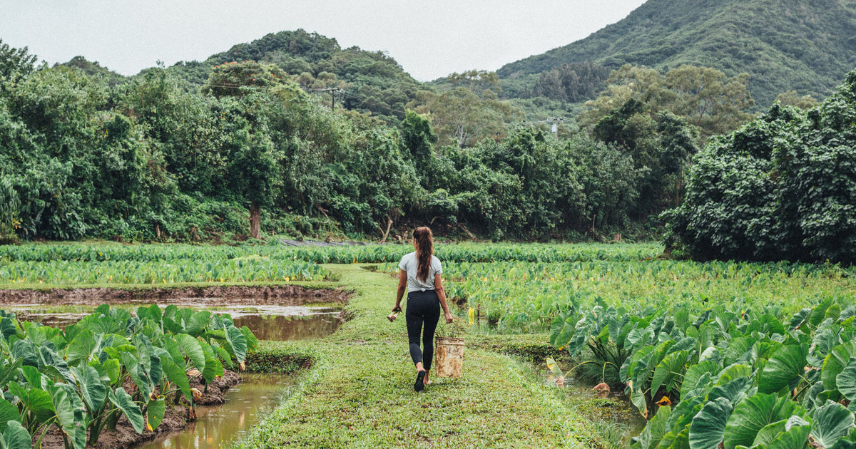 The 3 Most Commonly Asked Questions About OluKai OluKai UK