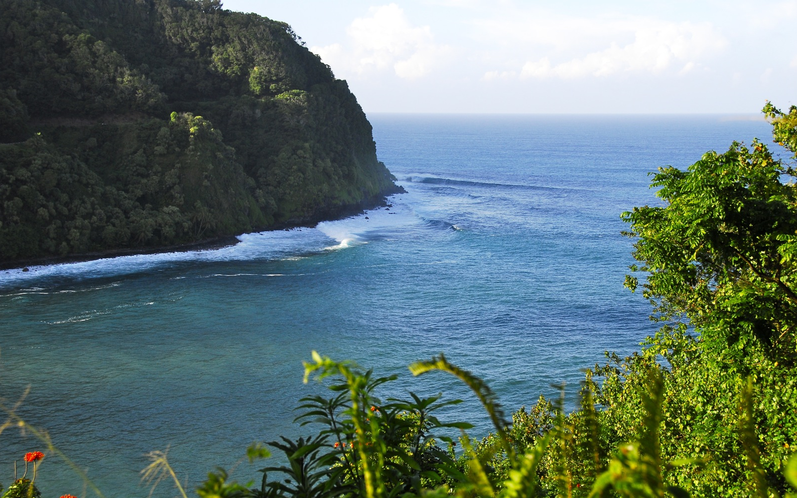 Island Flavors: A Guide to the Best Shave Ice Shops in Hawai‘i