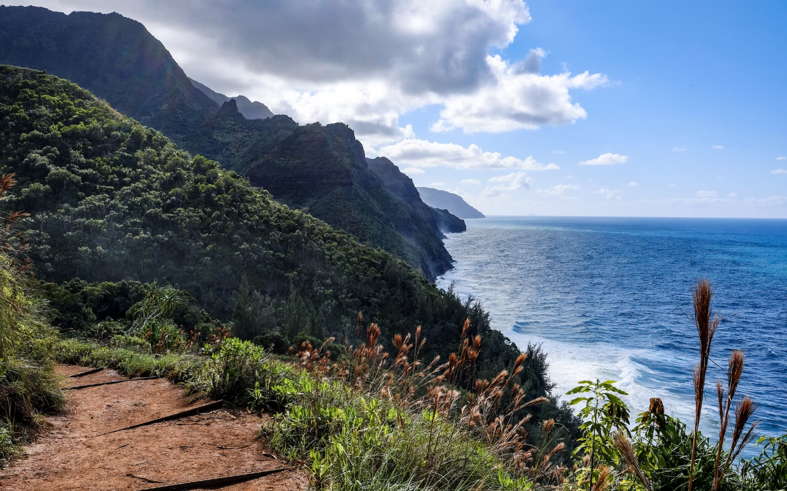 Our 5 Favorite Scenic Strava Routes in Hawai‘i