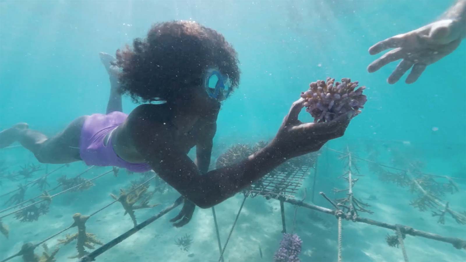 Coral Planting With OluKai