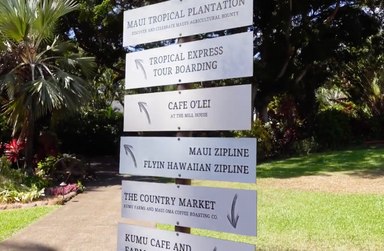 Maui Things To Do | OluKai
