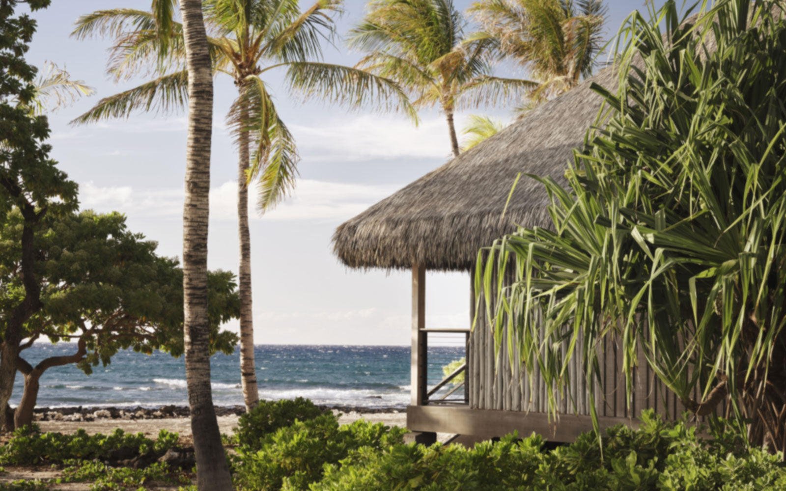 CLOSED: OluKai Hawai‘i Island Trip Giveaway