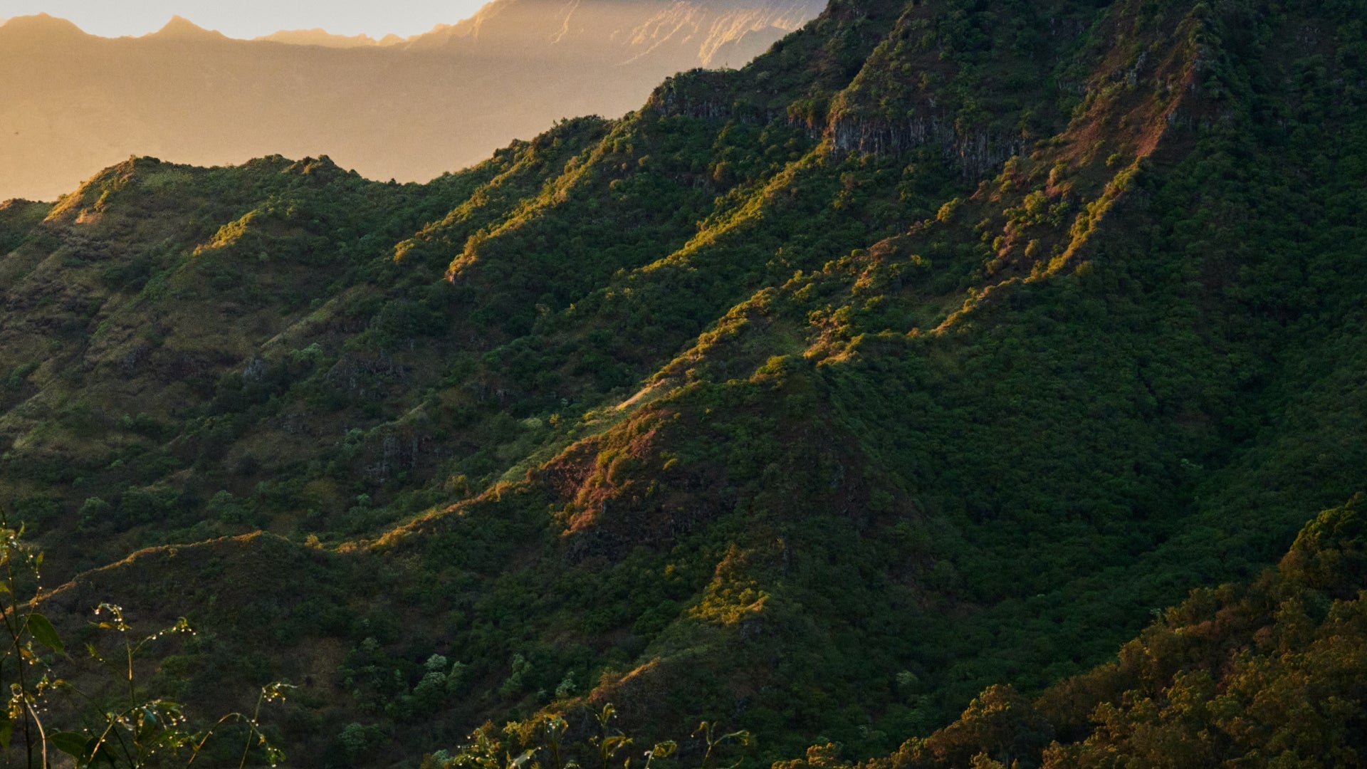 fallback text for an image