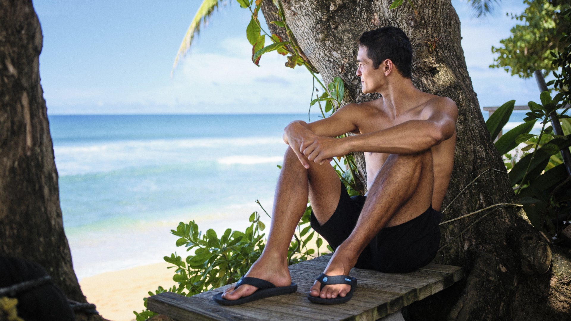 fallback text for an image