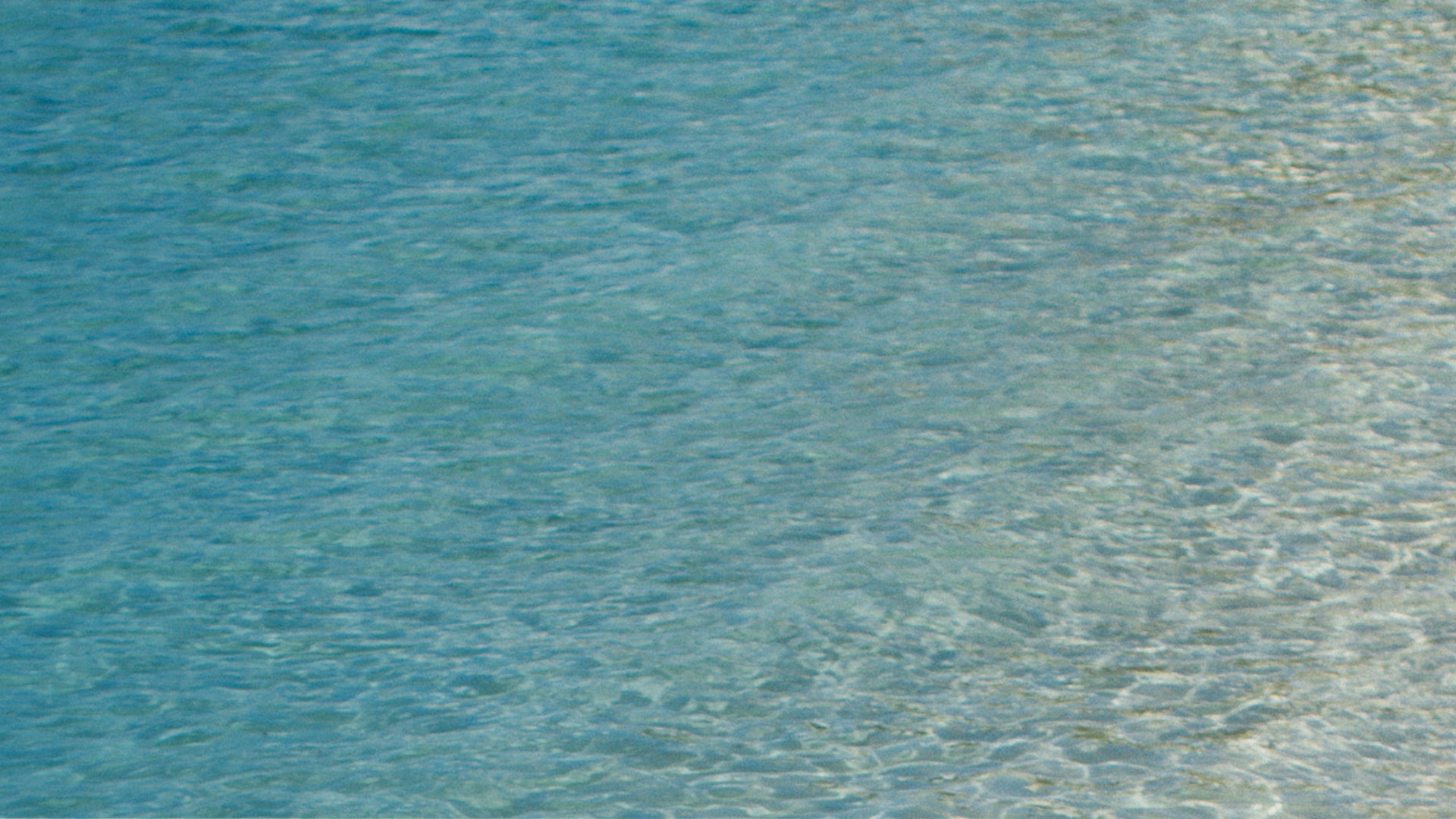 fallback text for an image