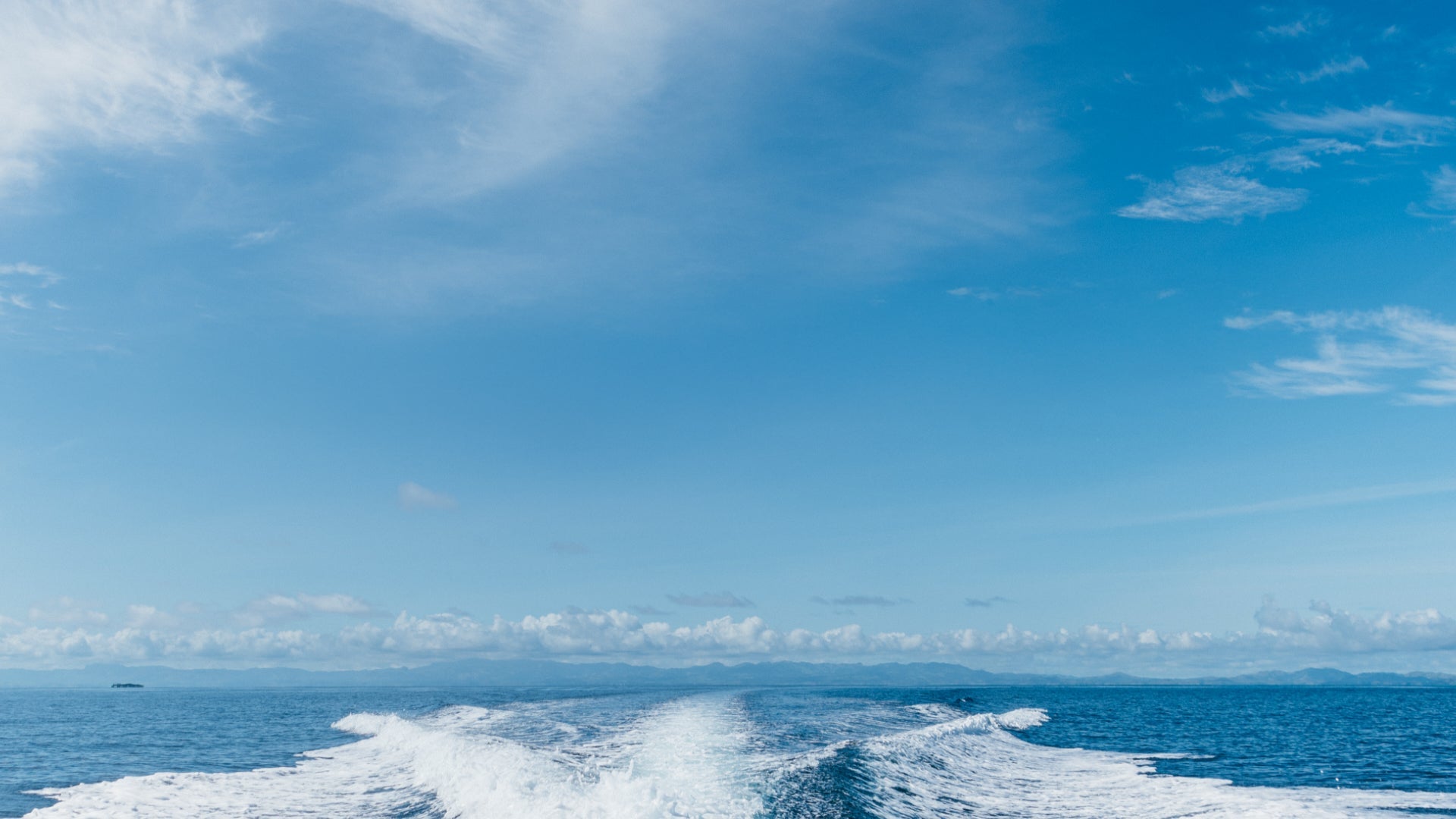 fallback text for an image