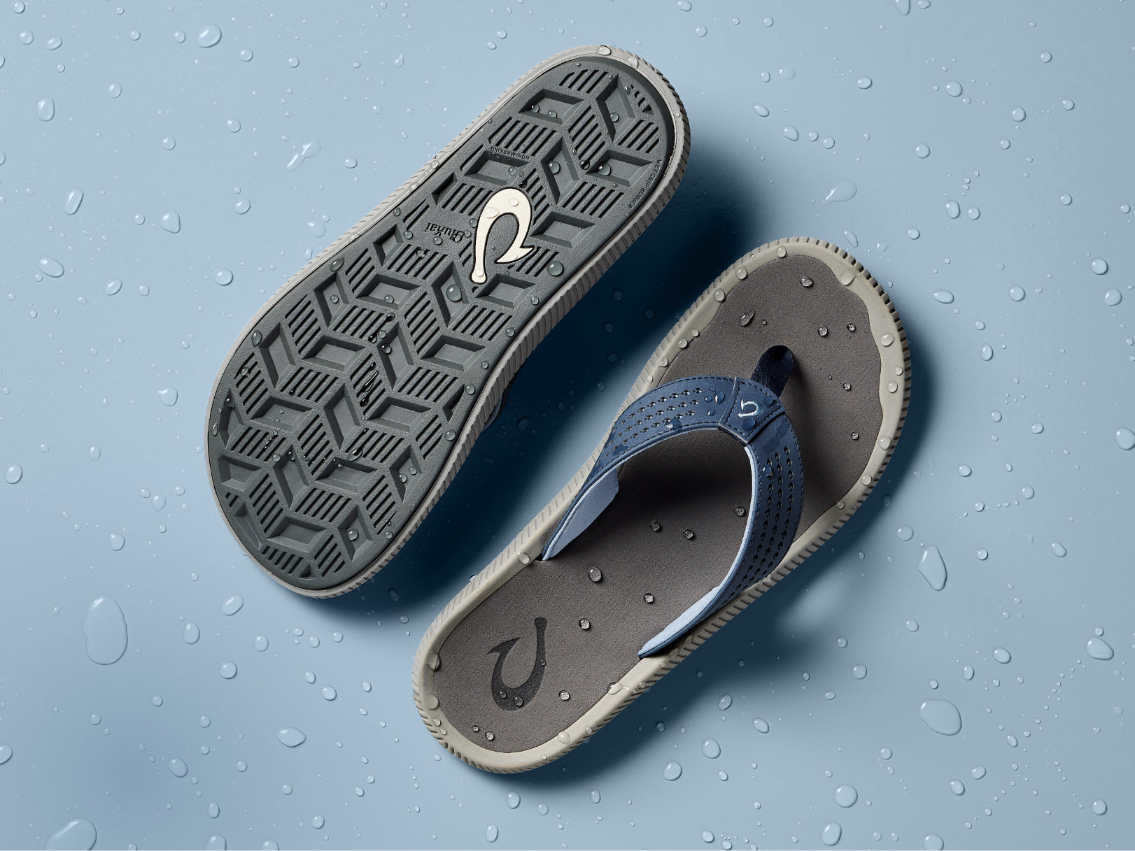 fallback text for an image